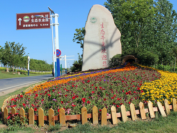 牛角大圩景觀綠化工程